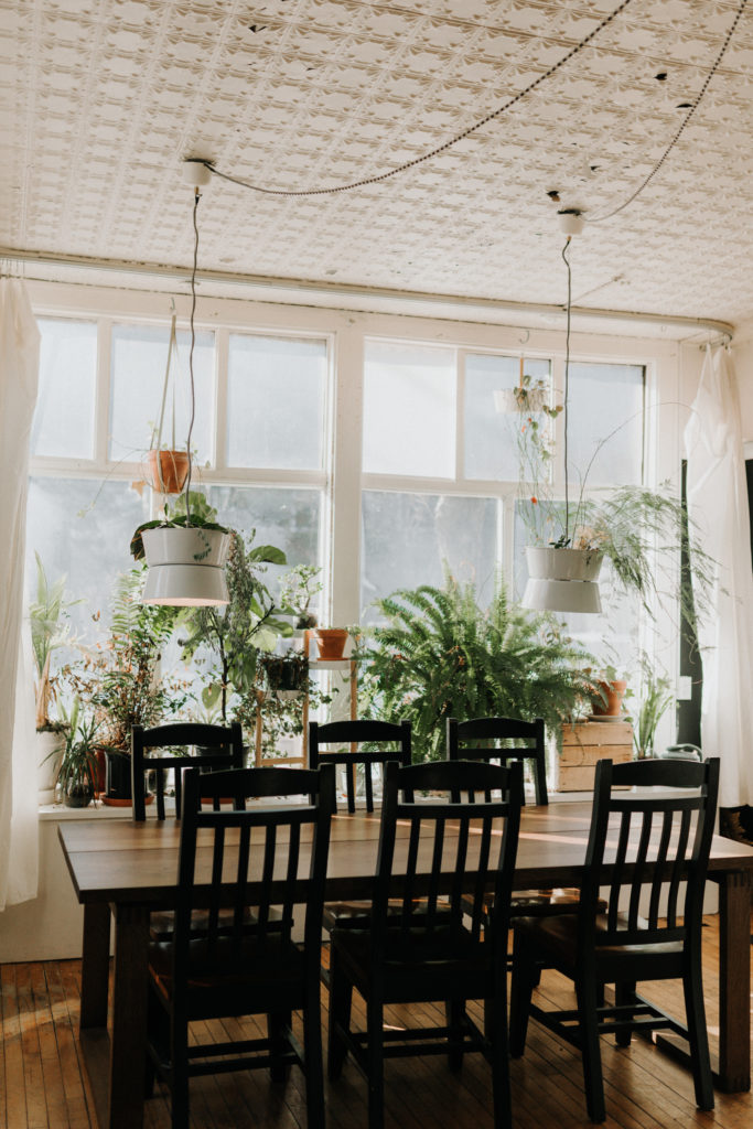 plants hanging above table at airbnb Minneapolis