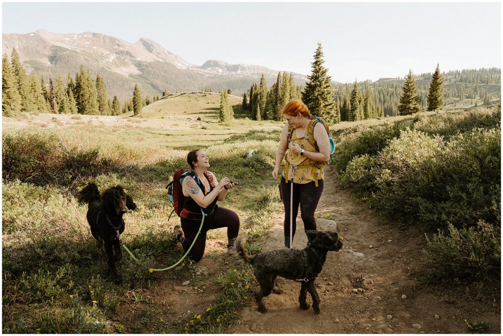 couple getting engaged with dogs